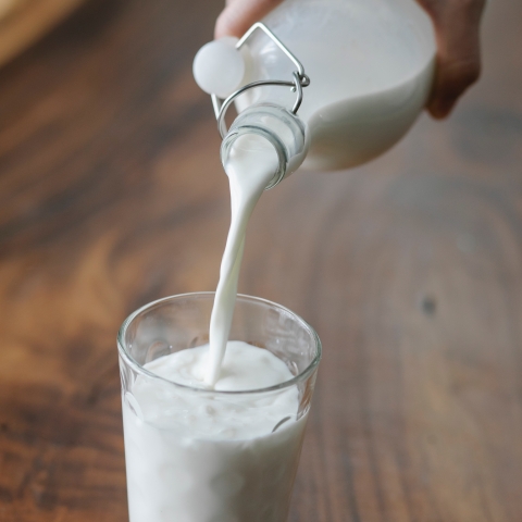 food-process-pasteurisation-milk